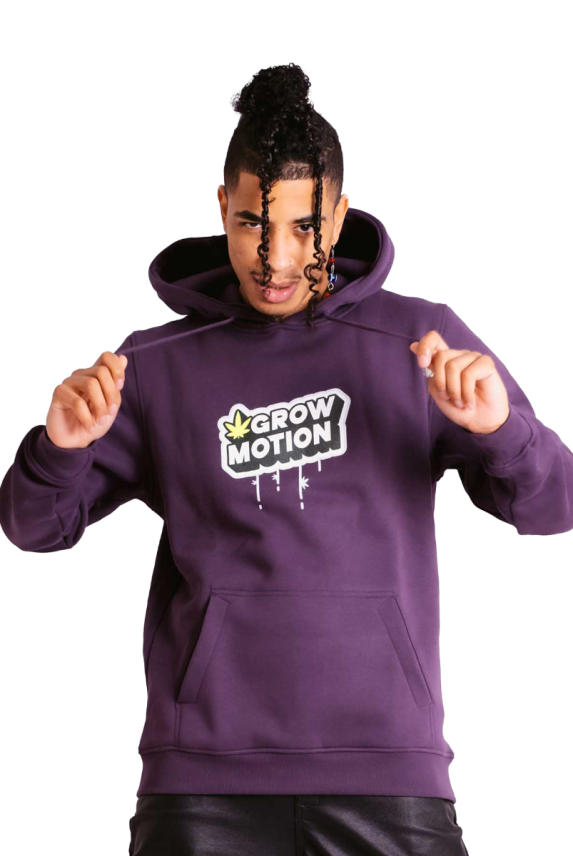 Basic Big Hoodie purple