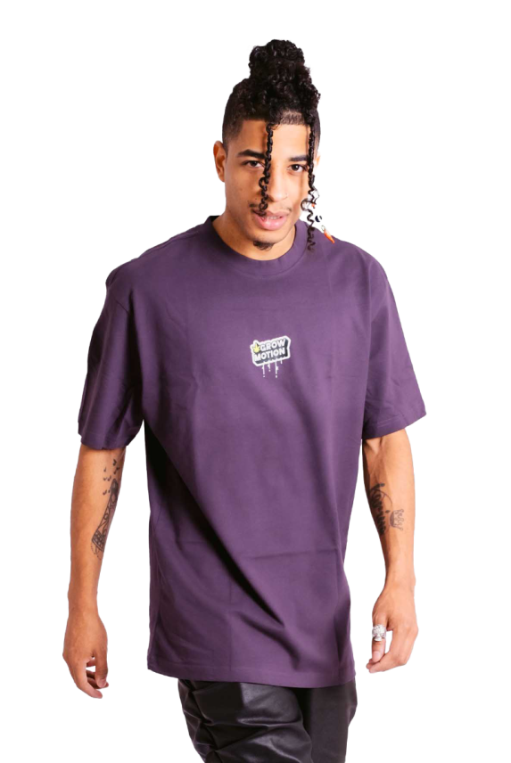 Basic Small Shirt Purple